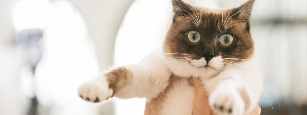 会話のコツは相手の興味を掻き立てる質問力だ！